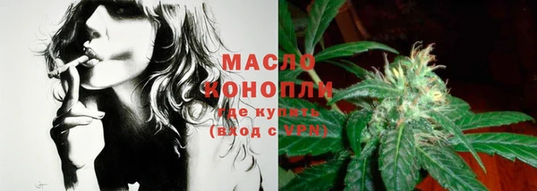 дмт Лабытнанги
