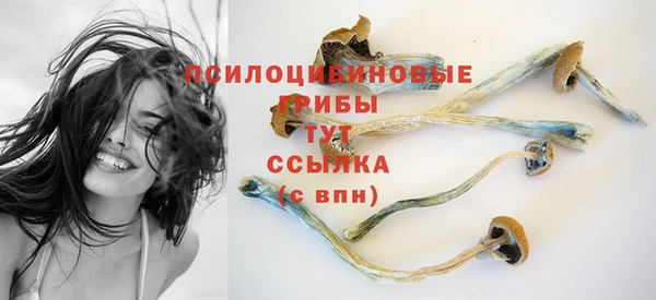 молекула духа Тольятти