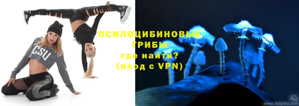 крисы Липки