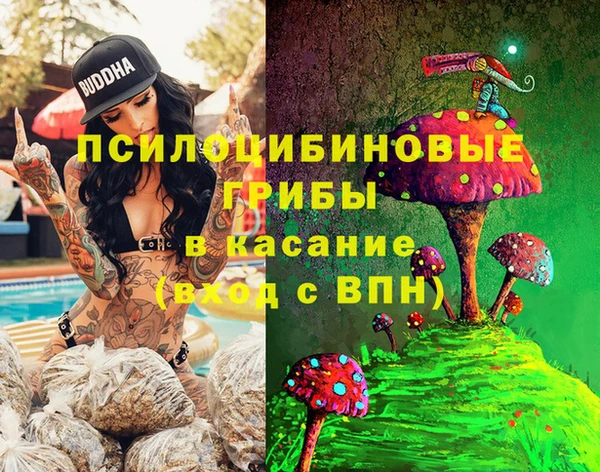 крисы Липки