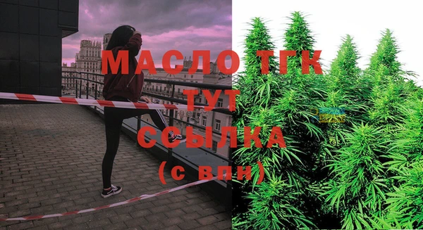 МДПВ Ижевск