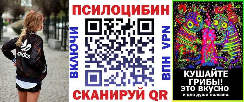 что такое   Орёл  Псилоцибиновые грибы мицелий 